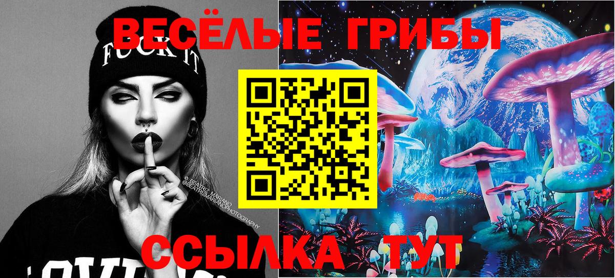 Псилоцибиновые грибы Magic Shrooms  Вход с VPN  Мыски  Псилоцибиновые грибы прущие грибы 