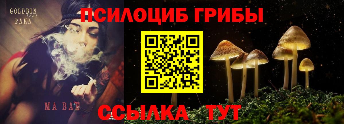 Галлюциногенные грибы Psilocybe Мыски